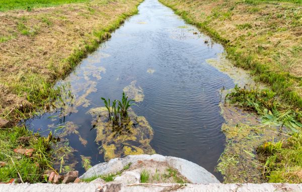Drain Field Restoration